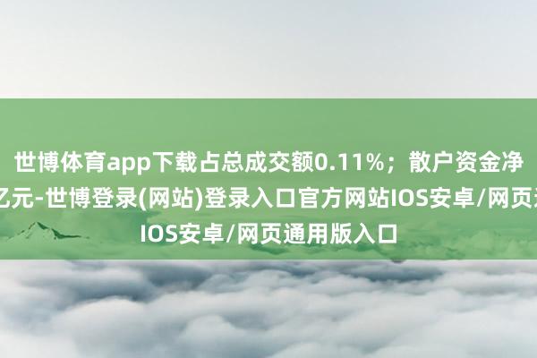 世博体育app下载占总成交额0.11%；散户资金净流入1.69亿元-世博登录(网站)登录入口官方网站IOS安卓/网页通用版入口